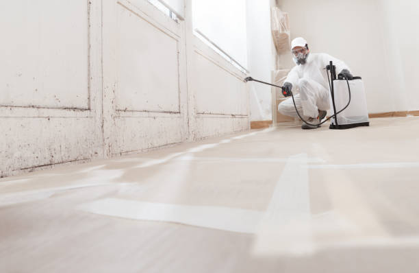 24/7 Emergency Mold Inspection experts in Caldwell, TX