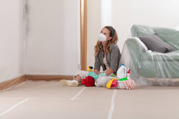 Trusted Mold Inspection service in Caldwell, TX - Cheap Mold Removal